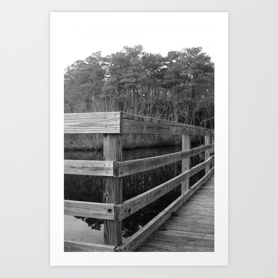 Fence Art Print