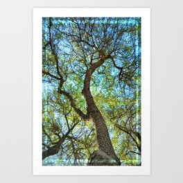 Branching Art Print