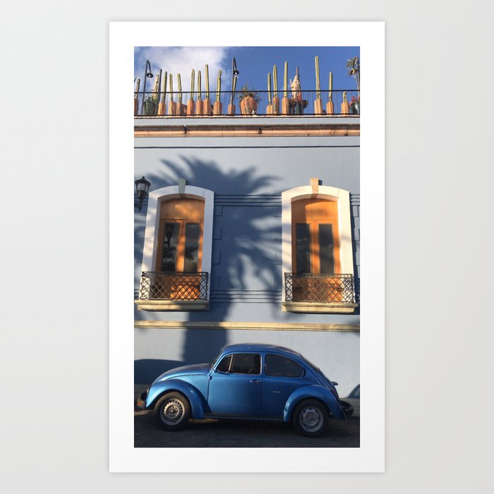 Cepillo  Art Print