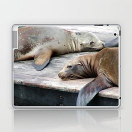 Sea Lions Laptop & iPad Skin