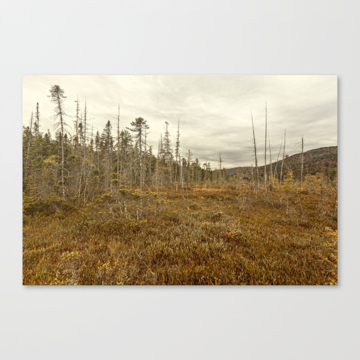 cloudy fall day Canvas Print