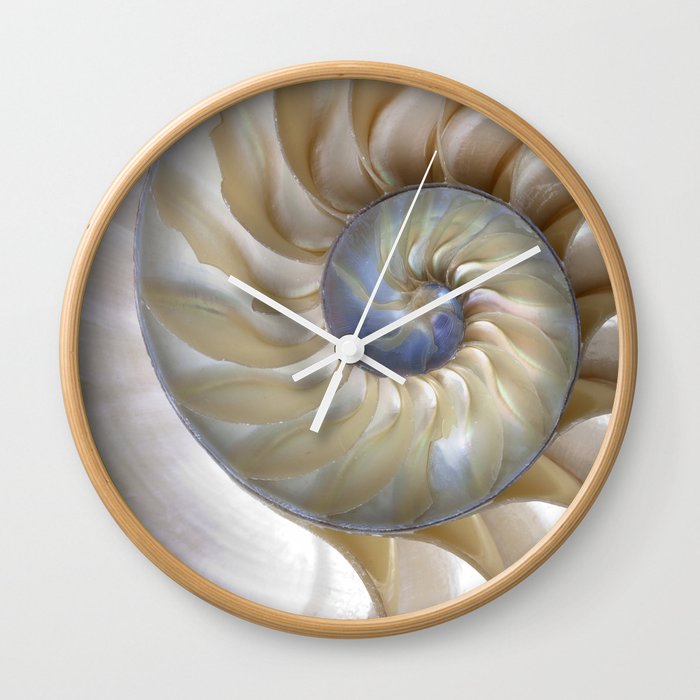 Nautilus Shell Wall Clock By Christineiris Society6 Nautilus Shell Wall Clock By Christineiris Society6