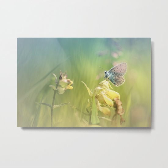 Dreamy serenity Metal Print
