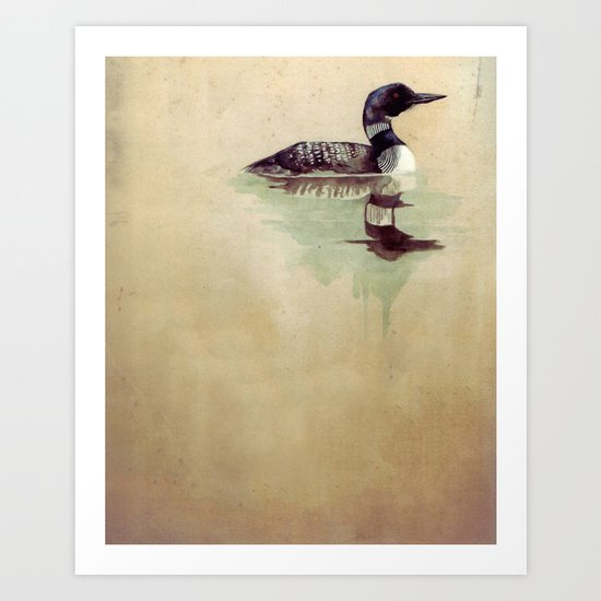 Common Loon Art Print