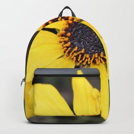 Flowers & Sunshine Backpack | Springtime, Spring, Flower, Sunshine, Color, Ucsb, Photo, Santabarbara, Nature 