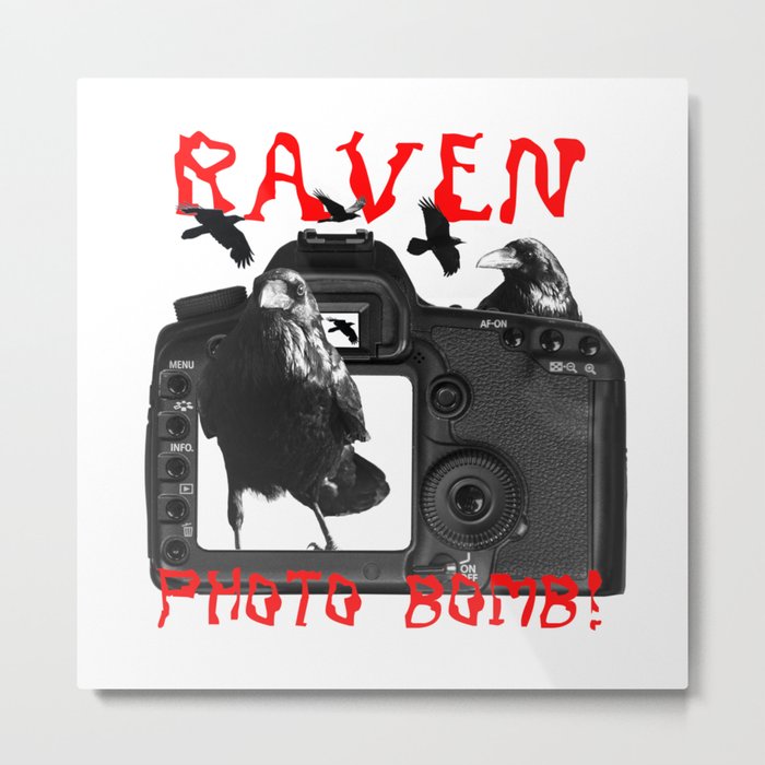 Raven Photo Bomb! Metal Print