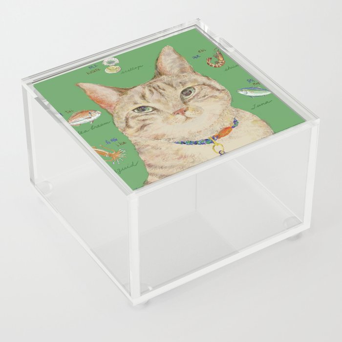 Cat and fish in green Acrylic Box