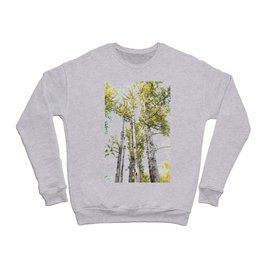 Walk in the Birches Crewneck Sweatshirt