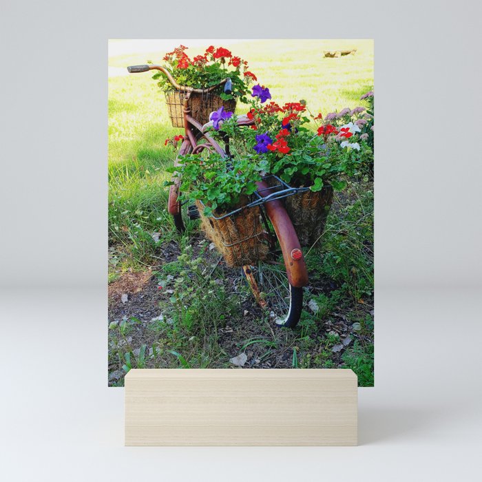 Old Bicycle Planter Mini Art Print