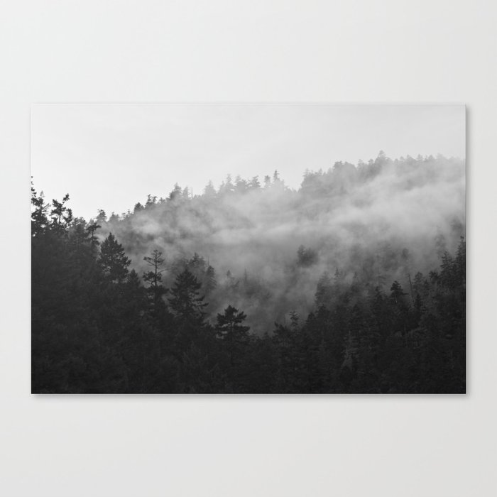 Treeline Fog Canvas Print