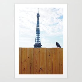 Lucky Pigeon in Paris Art Print | Fine Art Travel Photography Art Print