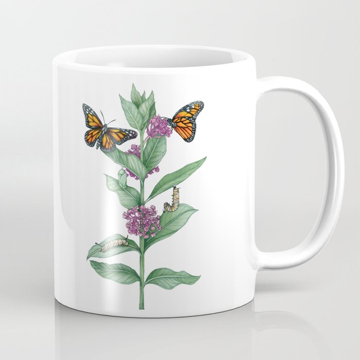 society6