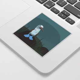 Blue-footed Booby in the wild. Sticker