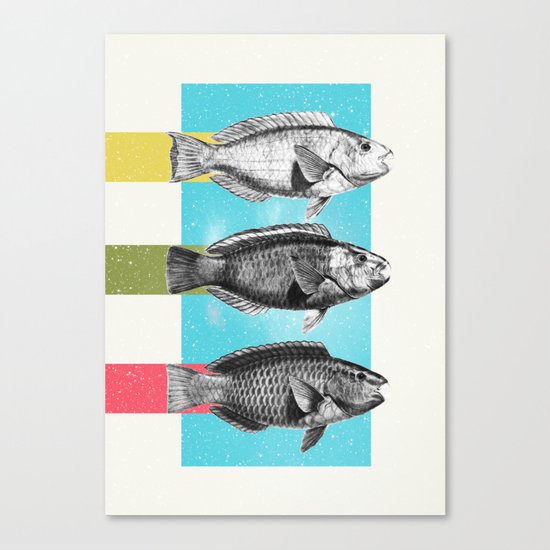 Fish Canvas Print