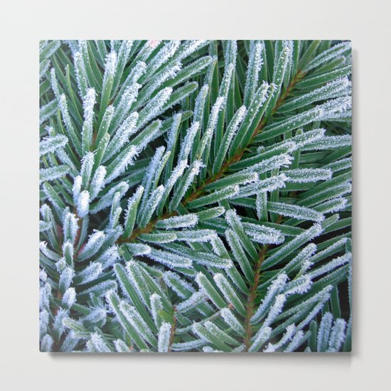 cold winter IV Metal Print