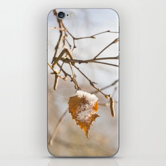 Winter wonders iPhone & iPod Skin