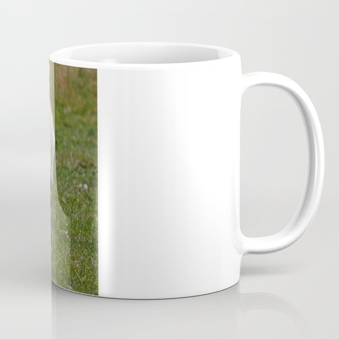 Sheep Baaaaa... Coffee Mug