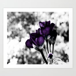 Purple Flowers Pop Of Color Art Print