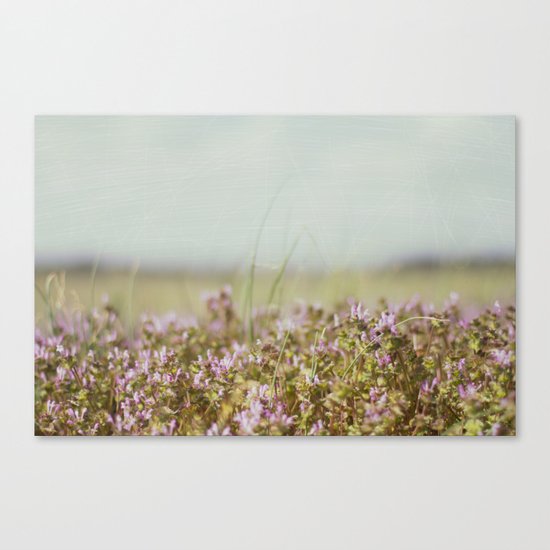 From the Ground Up Canvas Print
