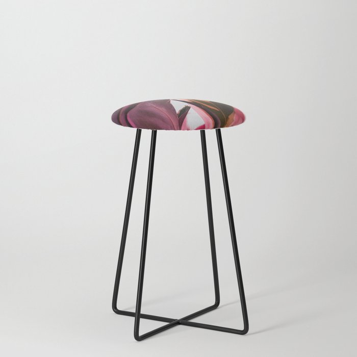 Stromanthe Triostar  |  The Houseplant Collection Counter Stool
