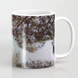 Stone pine trees Coffee Mug