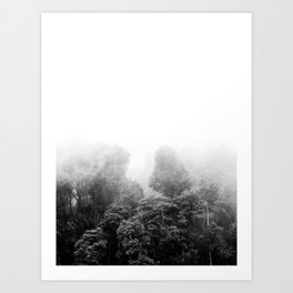 Misty Jungle Forest Black and White Landscape Photography Art Print