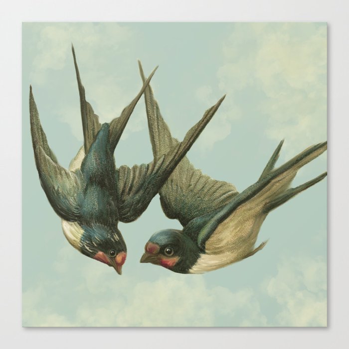Vintage Swallow Pair Canvas Print