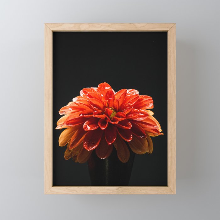 The Wildflower  Framed Mini Art Print