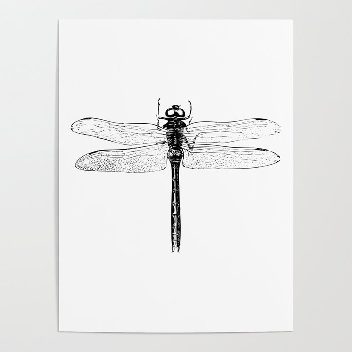 Vintage Dragonfly | Black and White | Poster