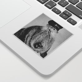 Kitten in the Beard of Old Man black and white photograph Sticker