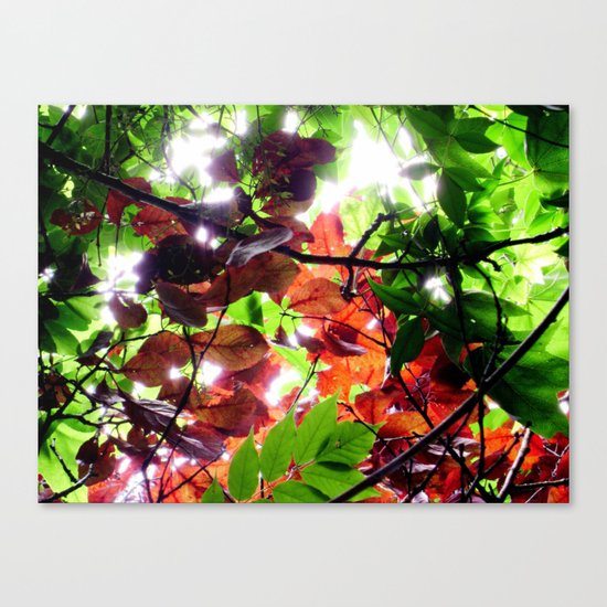 Enchanted Canvas Print
