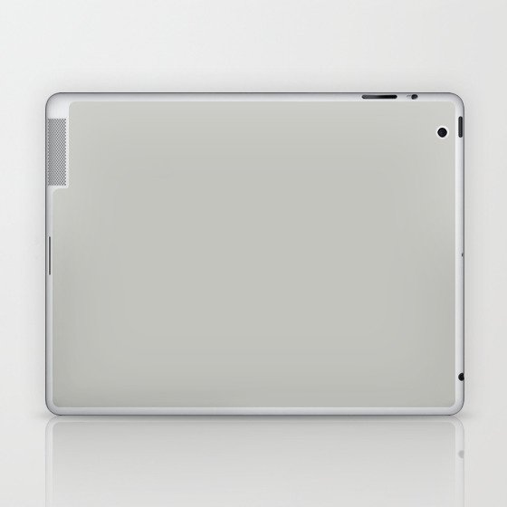 Light Fog Gray Grey Solid Color Pairs PPG Felted Wool PPG0997-2 Laptop & iPad Skin