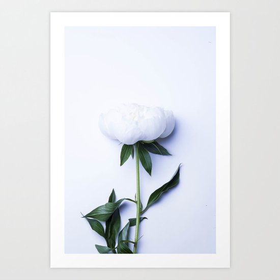 White Peony - Antique Flower Art Print