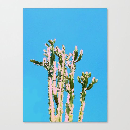 Cactus Beauty #cactus #society6 #decor #buyart Canvas Print