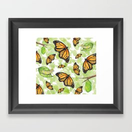 Monarch Butterfly Life Cycle Framed Art Print