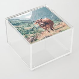 Cow in the mountains | Nature Acrylic Box
