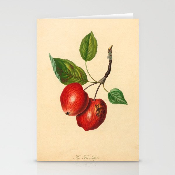 The Foxwhelp Apple (1811) Stationery Cards