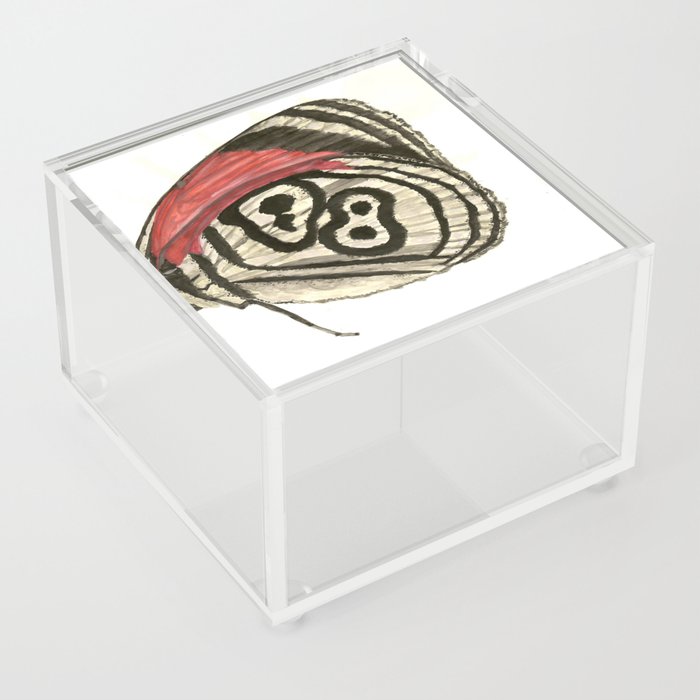 88 Wing Butterfly Acrylic Box