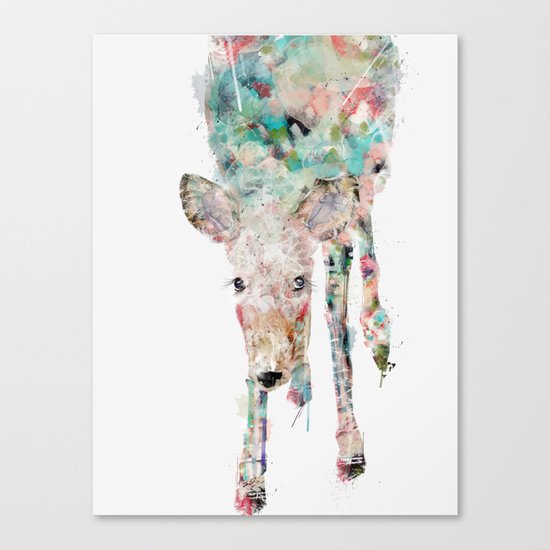 into the wild little deer Canvas Print