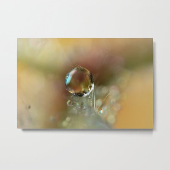 Geranium Drops Metal Print