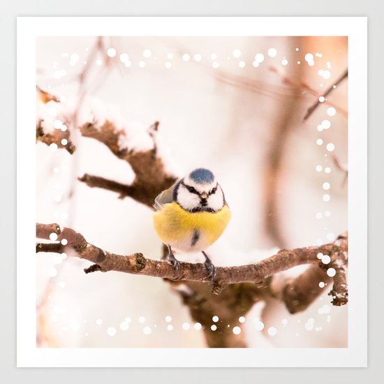 Blue tit on a branch Art Print