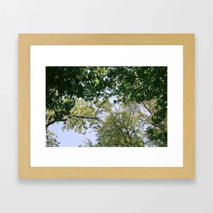 Leaves & Branches Framed Art Print