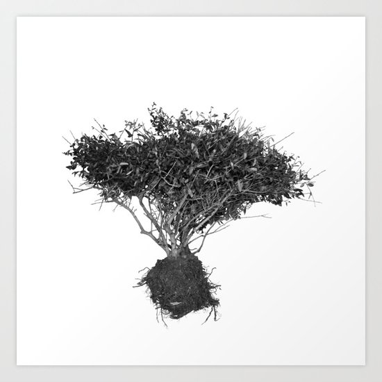 Floating Shrubbery Art Print