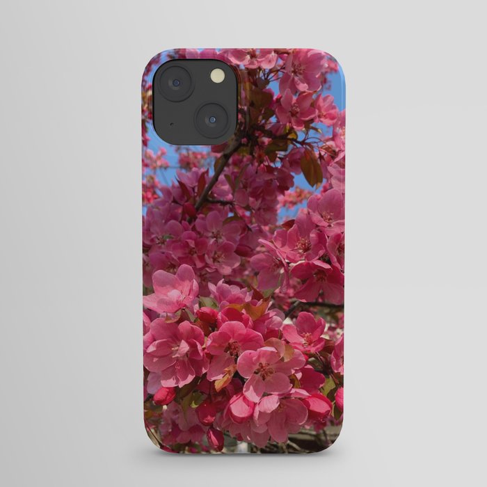 Spring Flowers in Bloom iPhone Case
