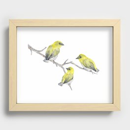 Finch Bird Recessed Framed Print