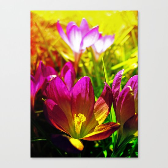the day after Canvas Print