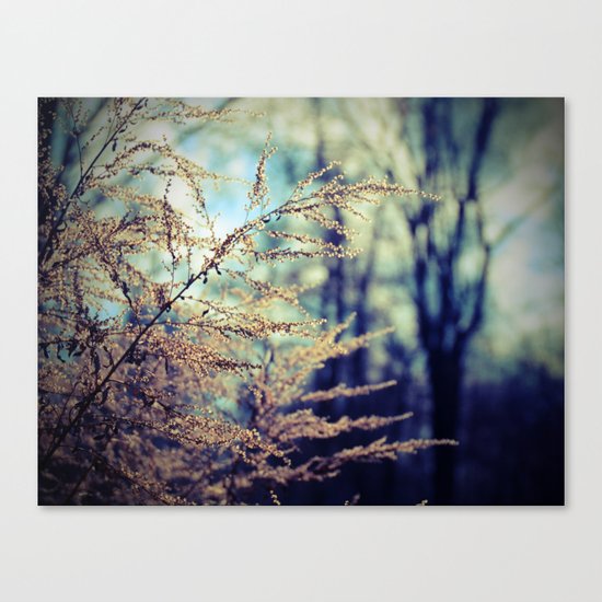 Spirit of Dusk Canvas Print