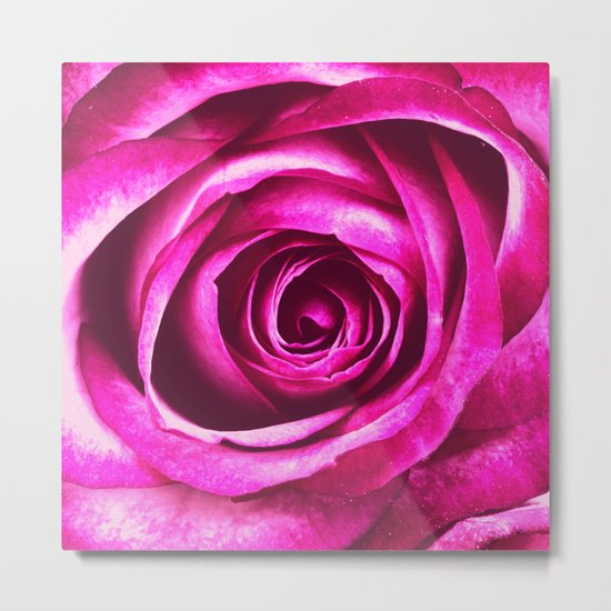 Pink Purple Rose Metal Print
