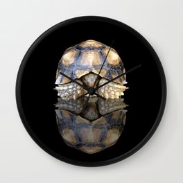 Sulcata Tortoise with Reflection Wall Clock