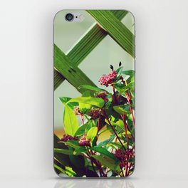 Berries by the fence | Backyard garden botanicals iPhone Skin